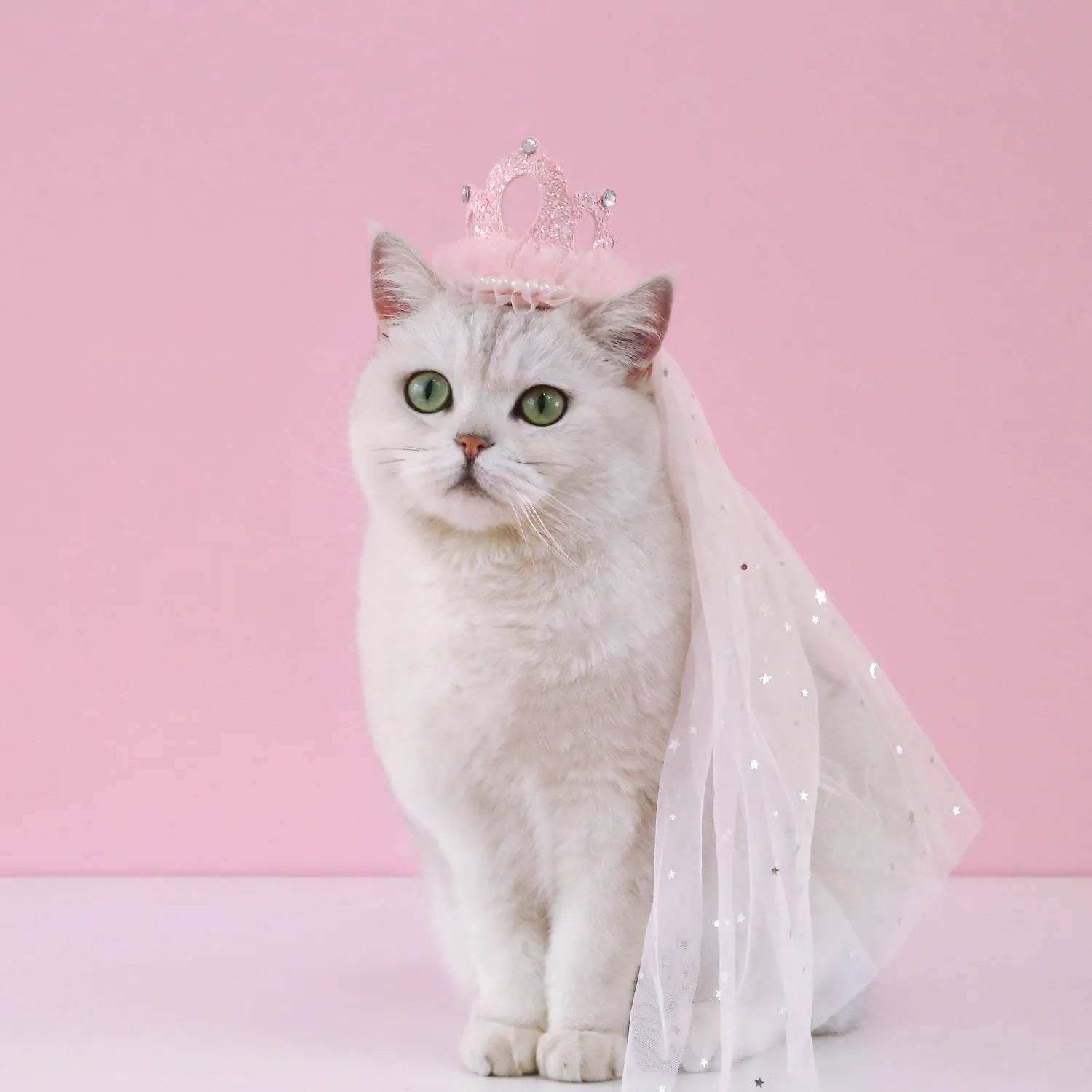 Cat wearing princess crown headdress with veil in beige and pink colour options for wedding or party costume
