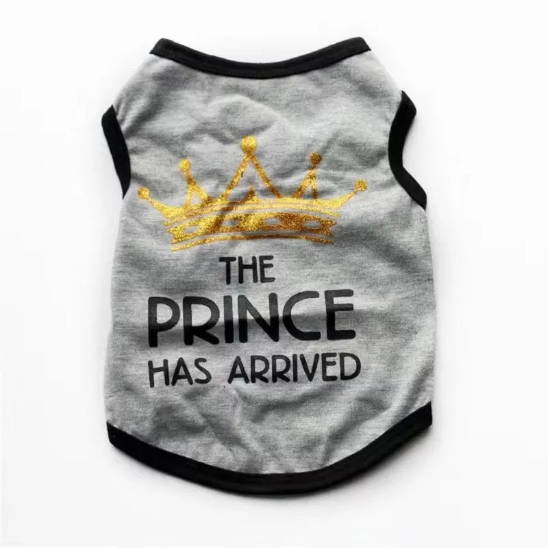 A cotton vest for puppies in a choice of colours including black, blue, gray, pink, and rose.