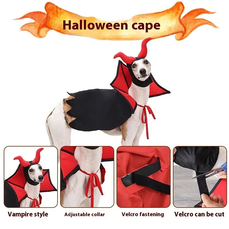 Black vampire cloak and matching hat costume for a small dog or cat on Halloween.