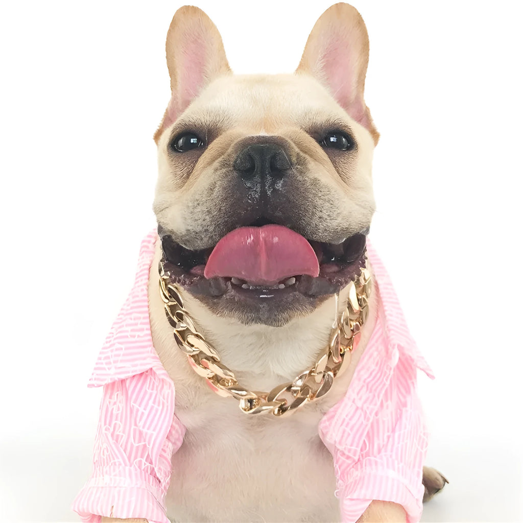 Adjustable geometric dog collar in KC gold with twisted chain design for small to medium dogs