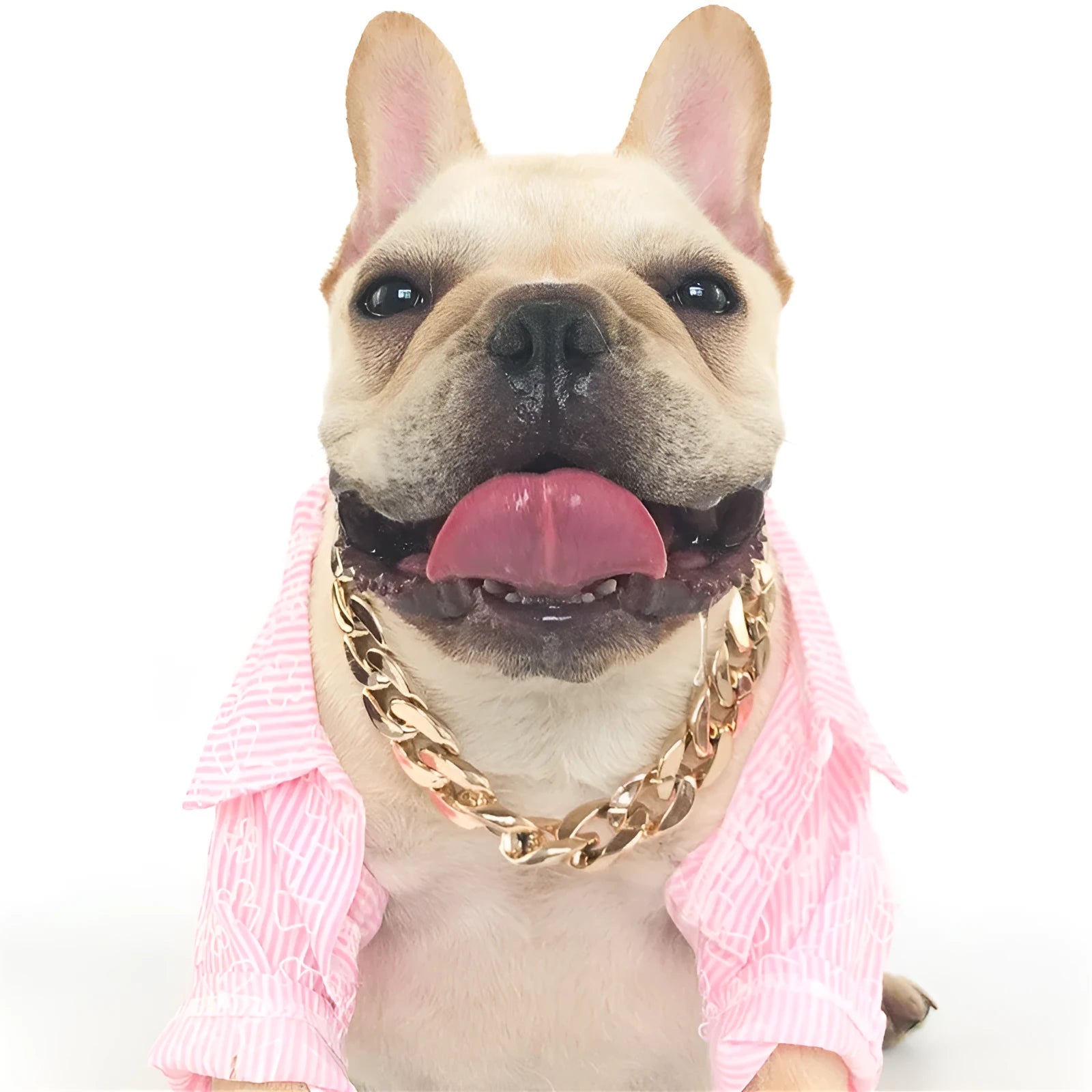 Adjustable geometric dog collar in KC gold with twisted chain design for small to medium dogs