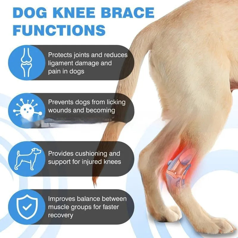 Black polyester leg guard for pet dog or cat joint support and rehabilitation.