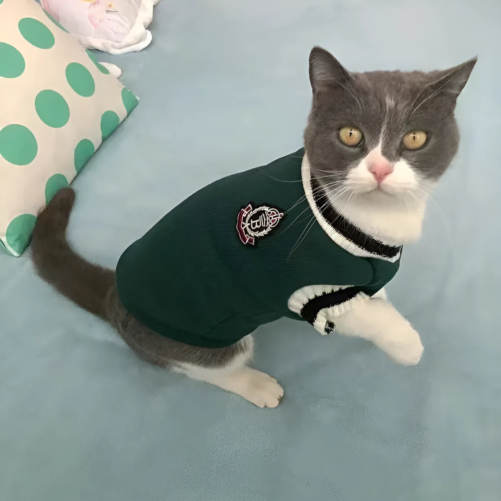 College style winter cat clothing in blue duck colour showing size options for cats 1-9.5kg