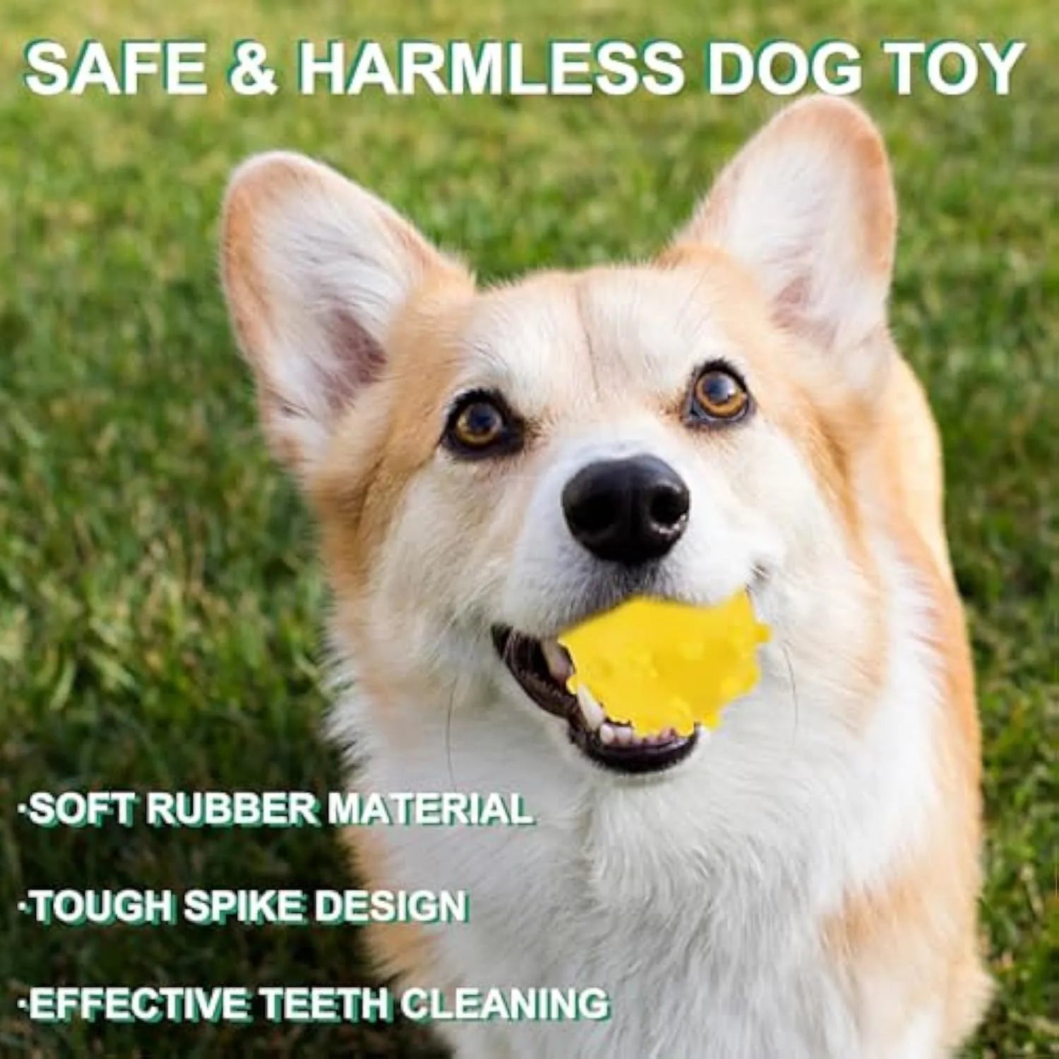 Set of four bright blue, green, pink, and yellow 2-inch squeaky dog toy balls with a textured, dimpled surface.