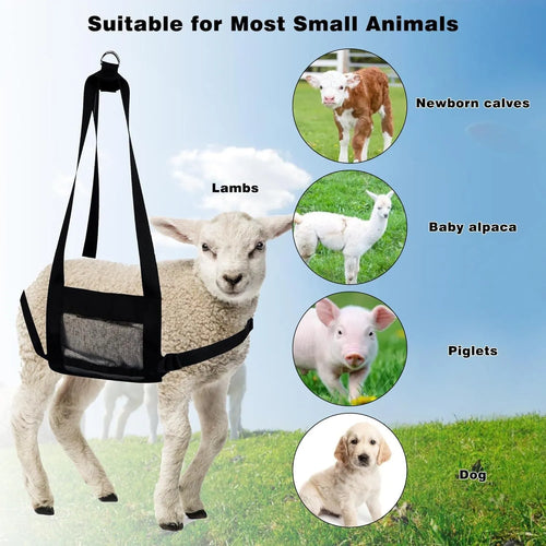 Black animal weighing sling measuring 35cm by 150cm with four attachment points for livestock and pet handling
