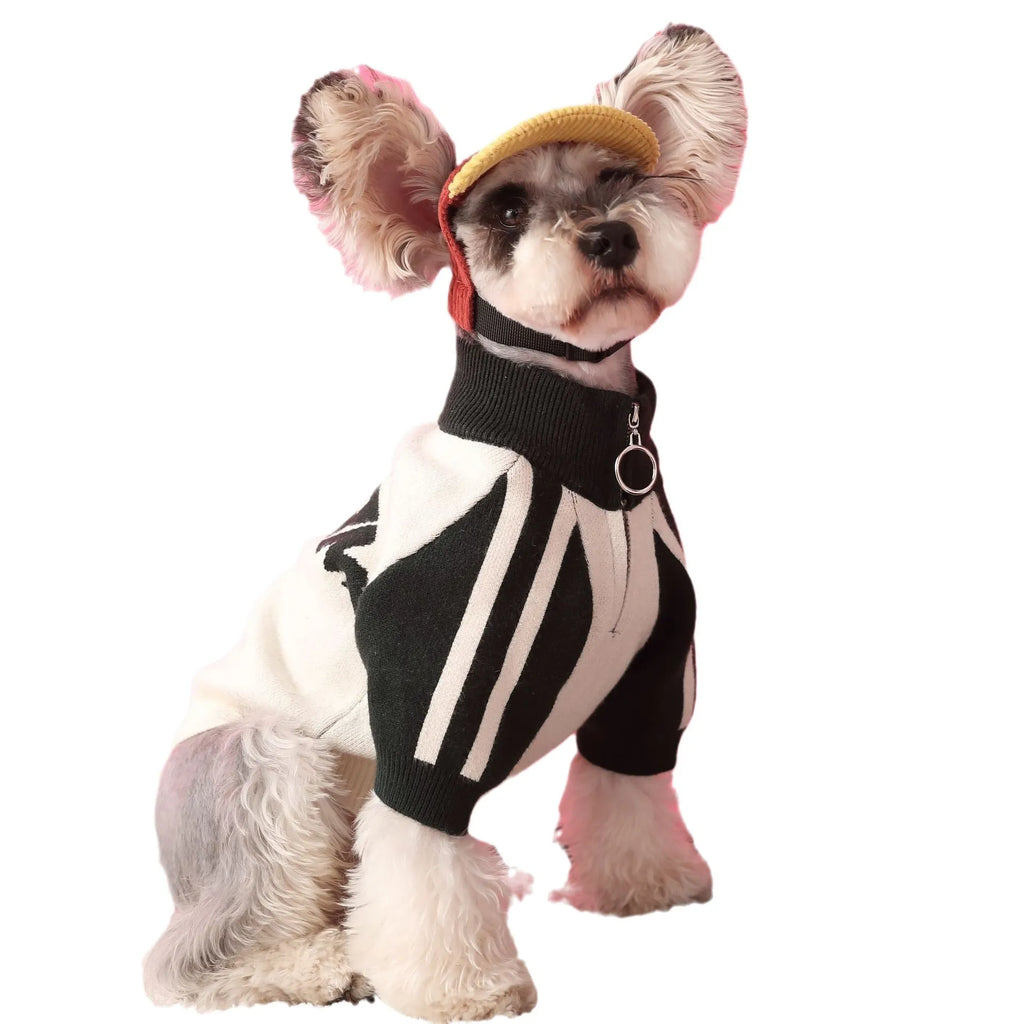 Red wool blend dog sweater cardigan on canine model showing casual sports-style design