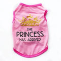 A cotton vest for puppies in a choice of colours including black, blue, gray, pink, and rose.