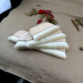 Wool brush for mounting paste application on artwork boards