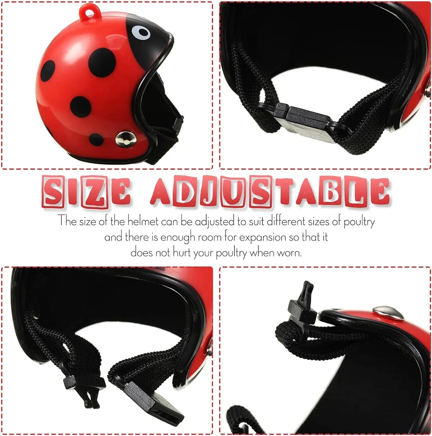 Small hard plastic pet helmet with elastic straps, shown on a chicken.