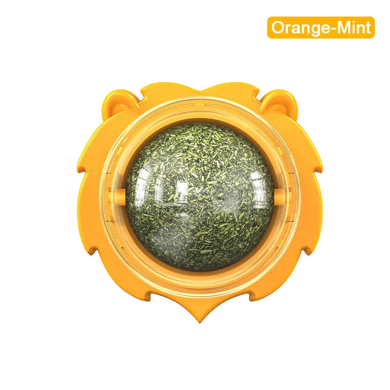 Paste-on catnip molar chew toy in PP plastic, shown in orange, pink, or blue with mint or Polygonum multiflorum flavour
