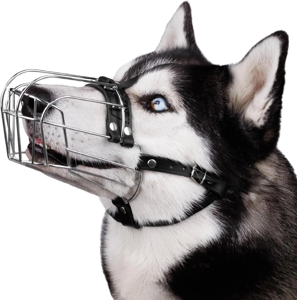Black metal dog mouth cover designed for golden retrievers and German Shepherds with an adjustable strap.