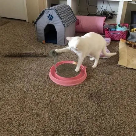 Blue interactive cat scratcher toy with ball in track and replaceable cardboard pad.