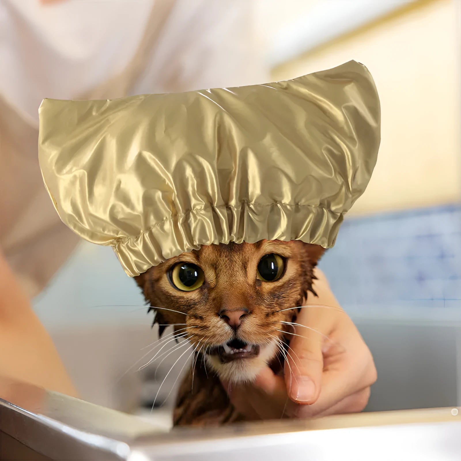 Adjustable waterproof shower cap for dogs and cats in silver, pink, or gold.