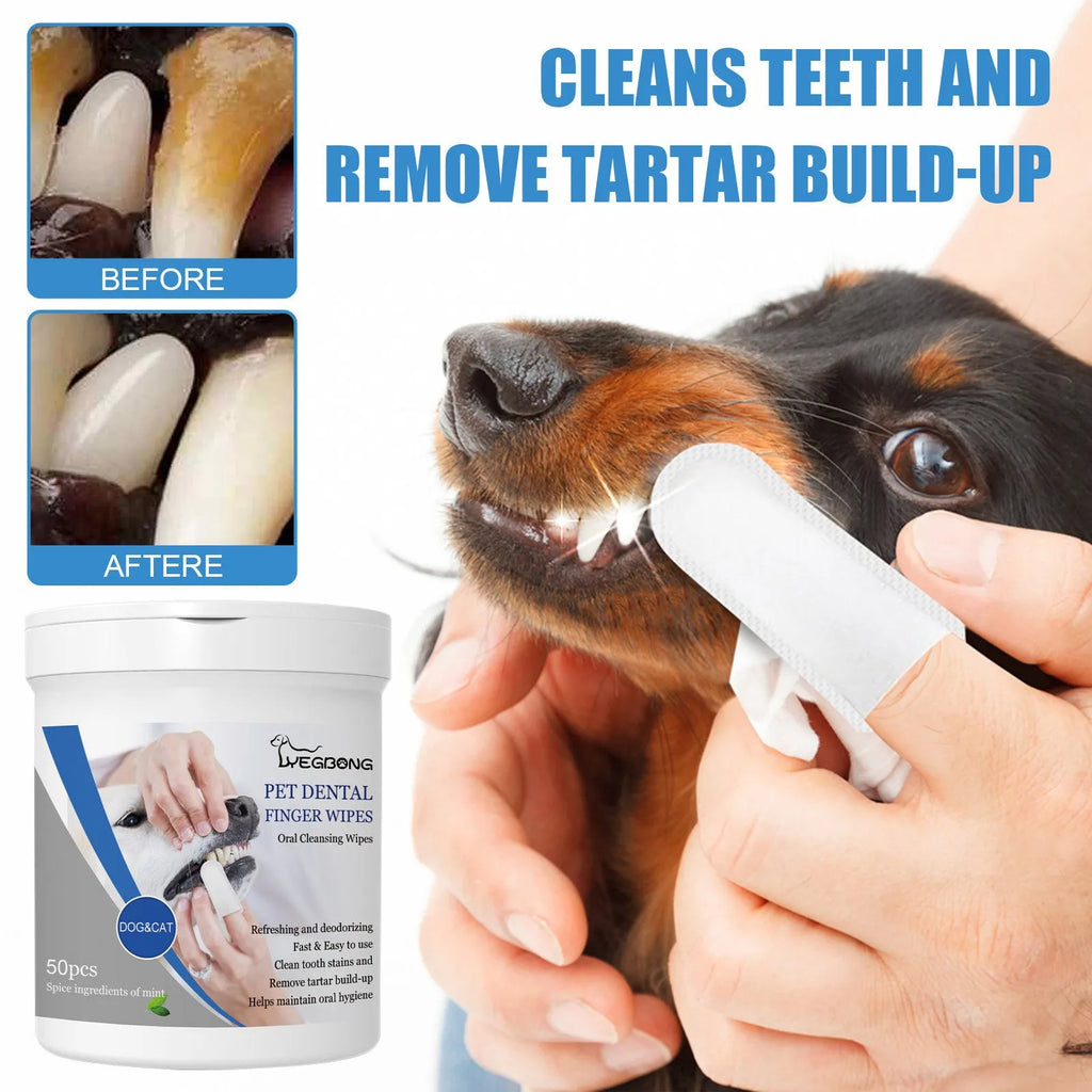 Canister of 50 pet teeth finger stall wipes for dog dental hygiene and oral care