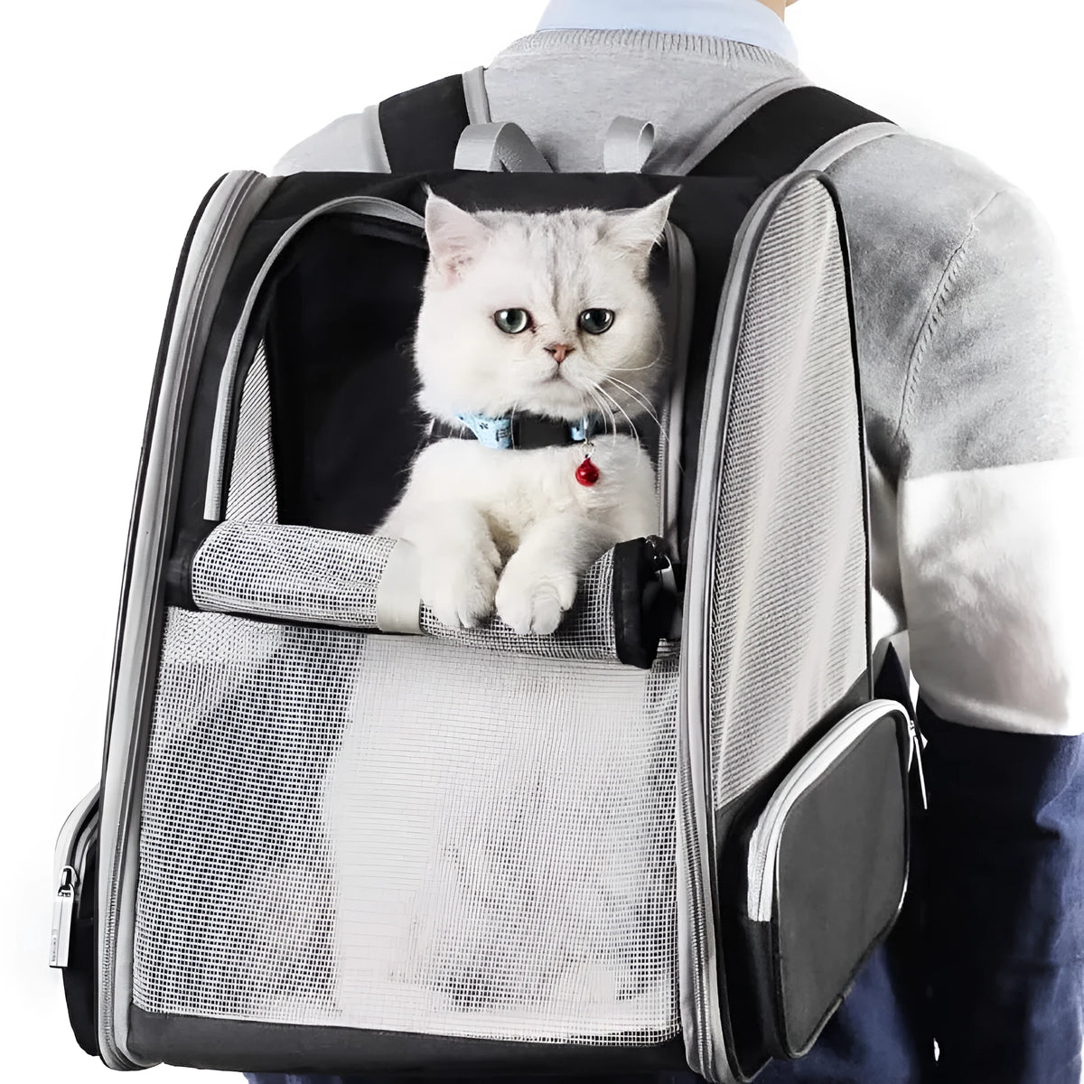 Grey or pink PVC mesh pet carrier backpack for cats and small dogs, 42cm x 31cm x 5cm, with chest buckles and removable mat.