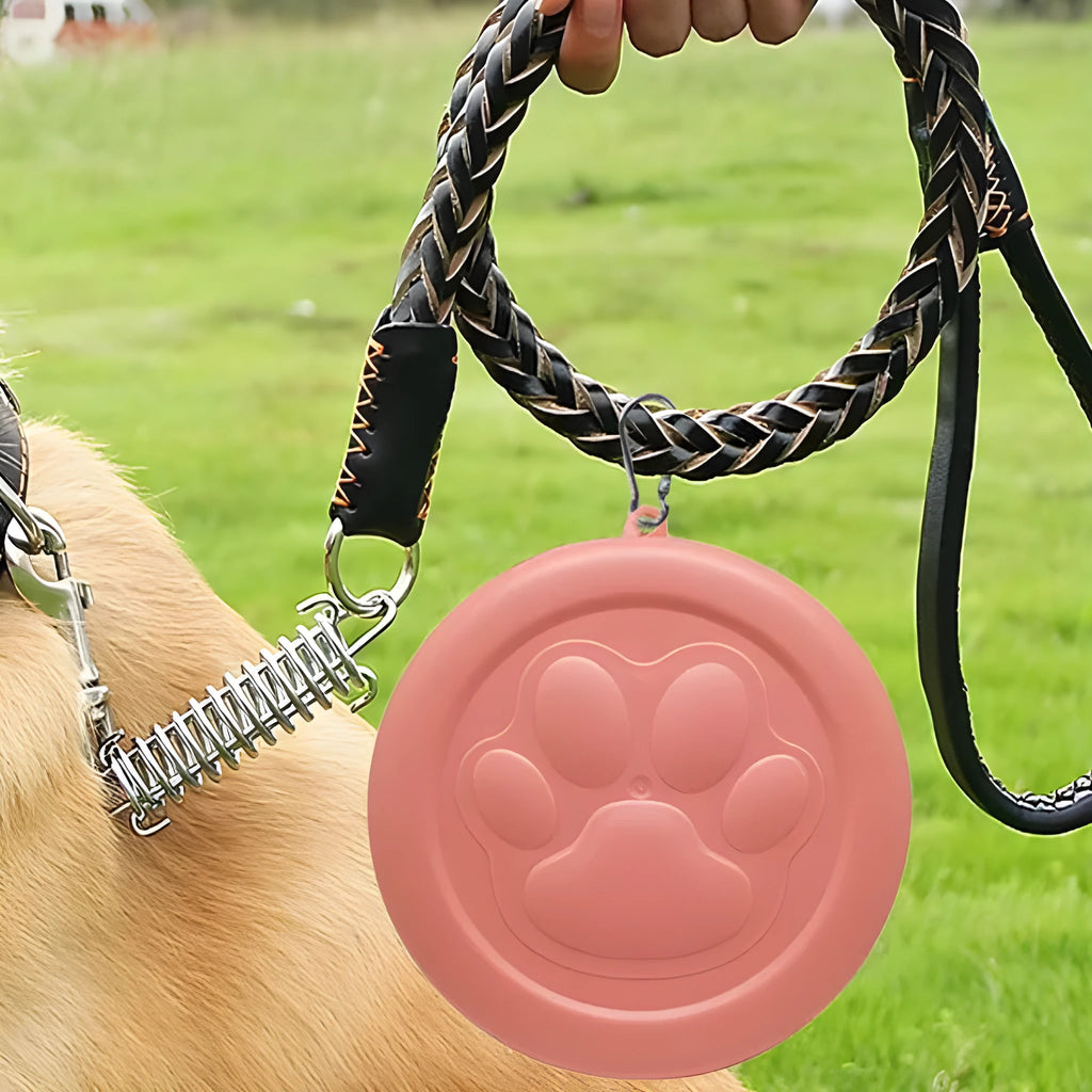 Portable dual-colour dog bowl set with attached snack box in light green and pink.