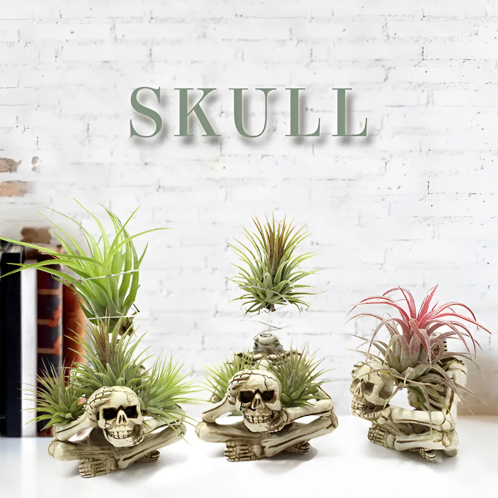Skull design resin tillandsia bracket for soilless air plants with iron mounting base