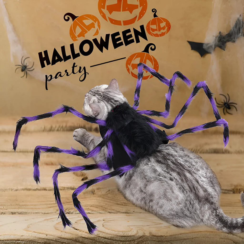 Grey Halloween spider costume for a small dog, showing the eight-legged design.
