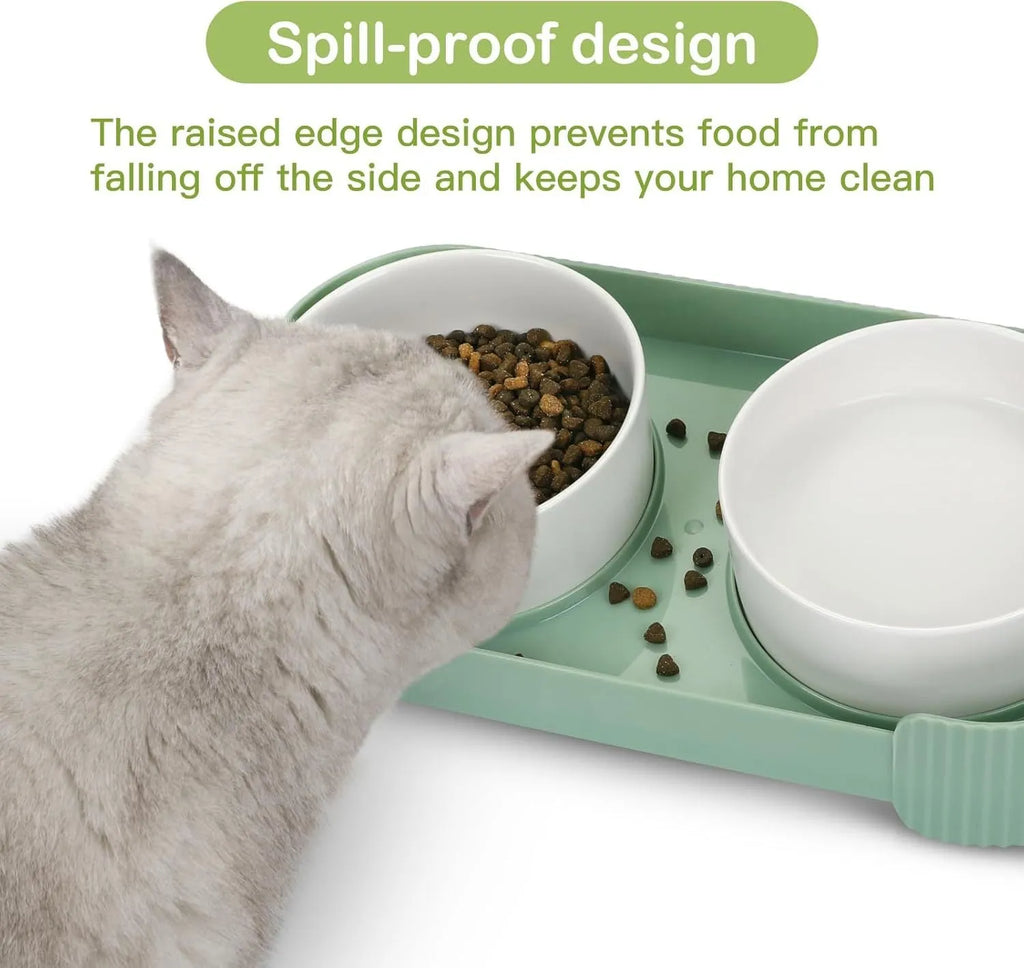Green ceramic raised cat feeding bowls set with tilted design on a non-slip stand