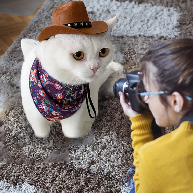 A black pet cowboy hat with a star decoration, shown with adjustable straps, sized for a cat or dog.
