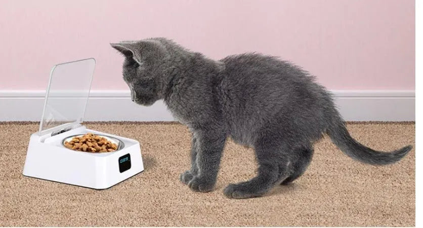 White automatic pet feeder with compact 210x170x92mm dimensions and USB rechargeable base