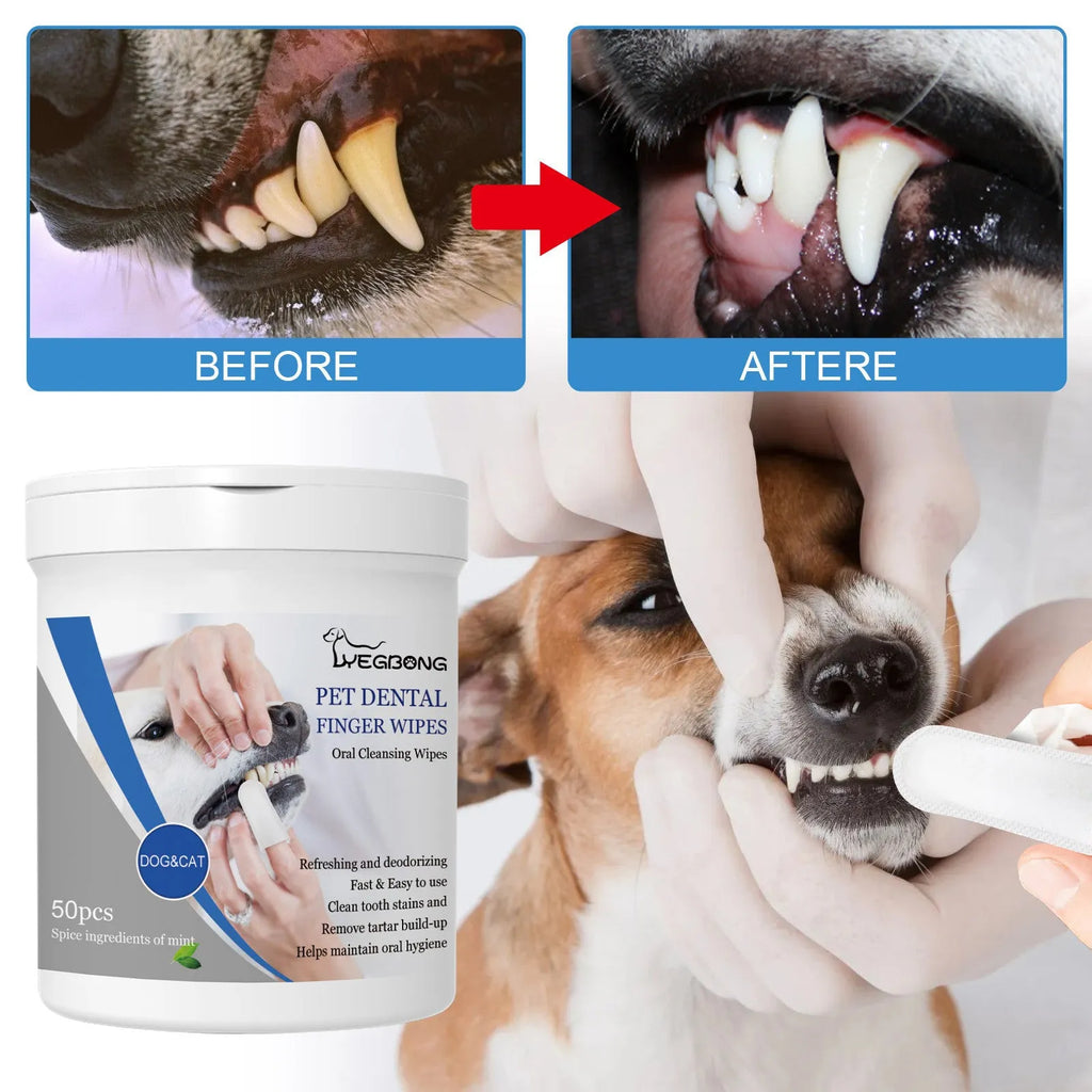 Canister of 50 pet teeth finger stall wipes for dog dental hygiene and oral care