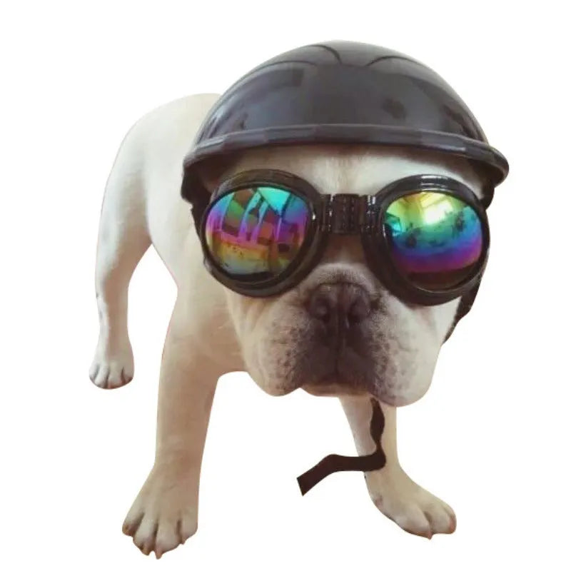 Plastic dog motorcycle cap helmet in a solid colour, shown in small, medium, and large sizes.