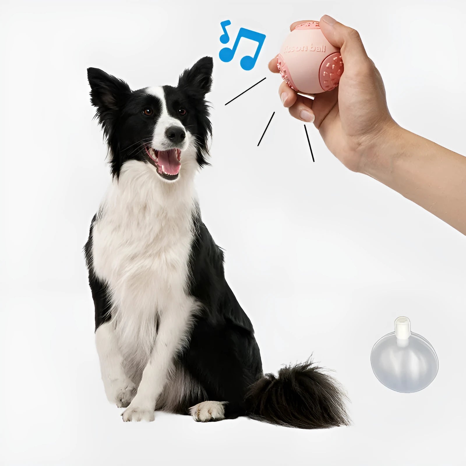 Green and pink durable rolling ball dog toy with a 64mm diameter on a plain background.