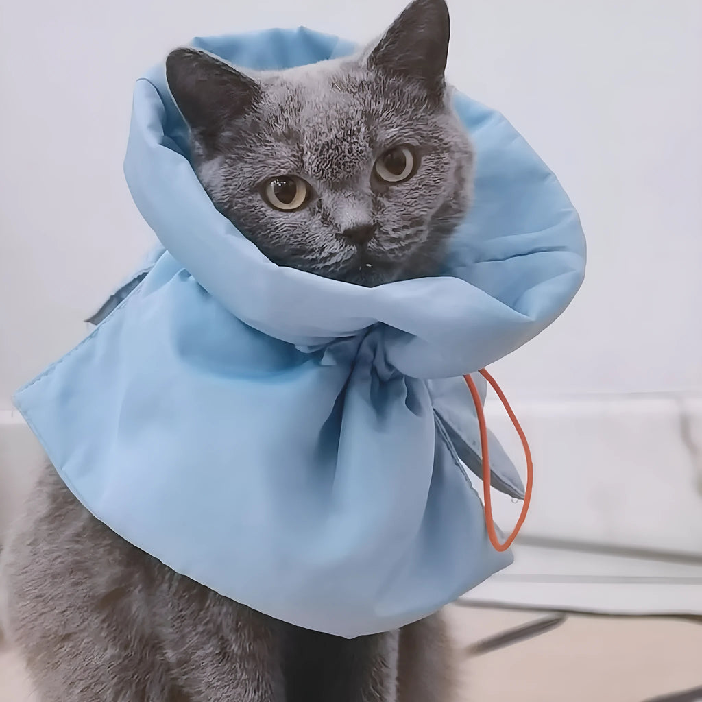 Adjustable soft cat recovery collar in light blue colour showing elastic buckle and polyester construction