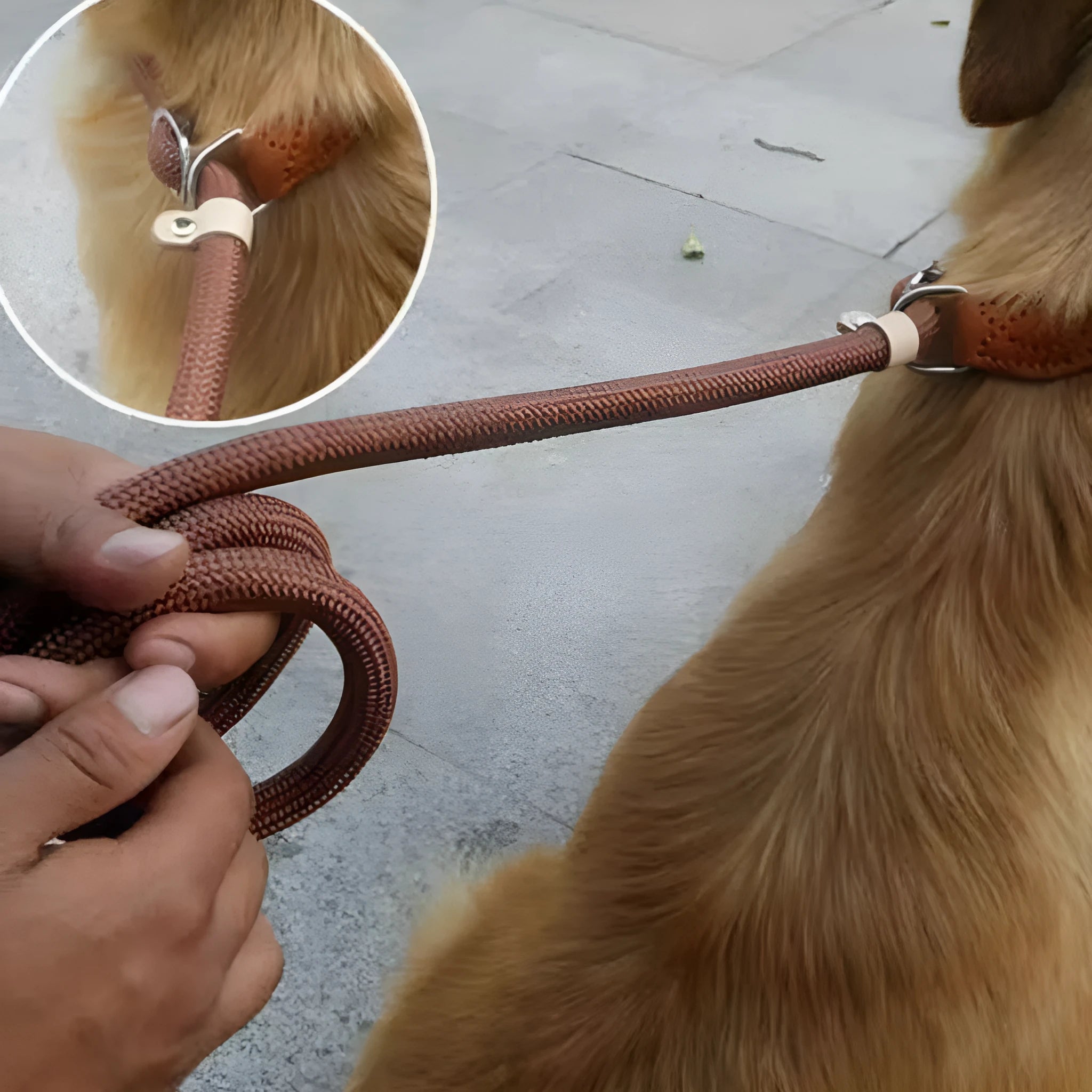 Brown nylon P chain dog leash with hand-holding rope, shown at full 2.1 metre length.