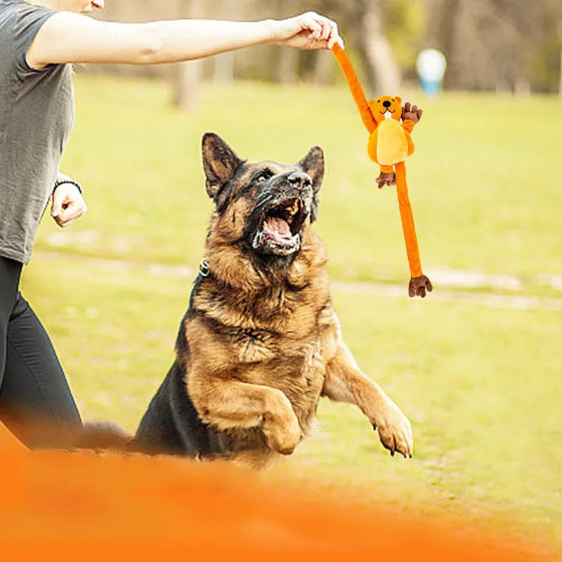 Orange plush dog toy for interactive tug-of-war, chewing and noise-making play