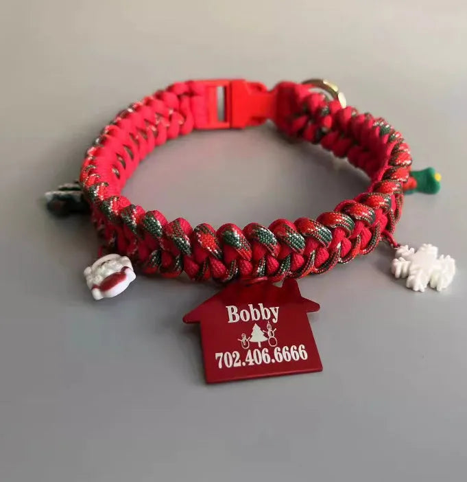 Green rope dog leash with a P chain section and a metal release buckle, held in a hand.