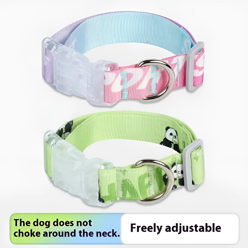 Adjustable nylon dog collar with a colourful cartoon gradient print and a metal D-ring, shown in panda green.