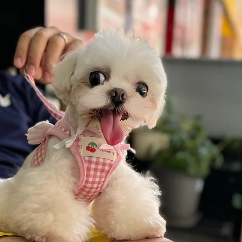 Soft cotton chest and back harness for a small dog, with hand-holding rope, shown in pink colour.