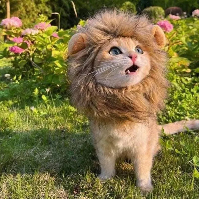 Lion mane wig for cats on pet with adjustable band and artificial hair