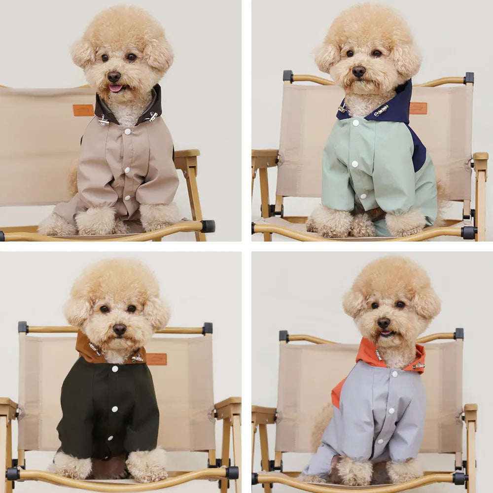 British-style khaki waterproof dog jacket on a medium-sized dog, showing tailored fit and buckle closure.
