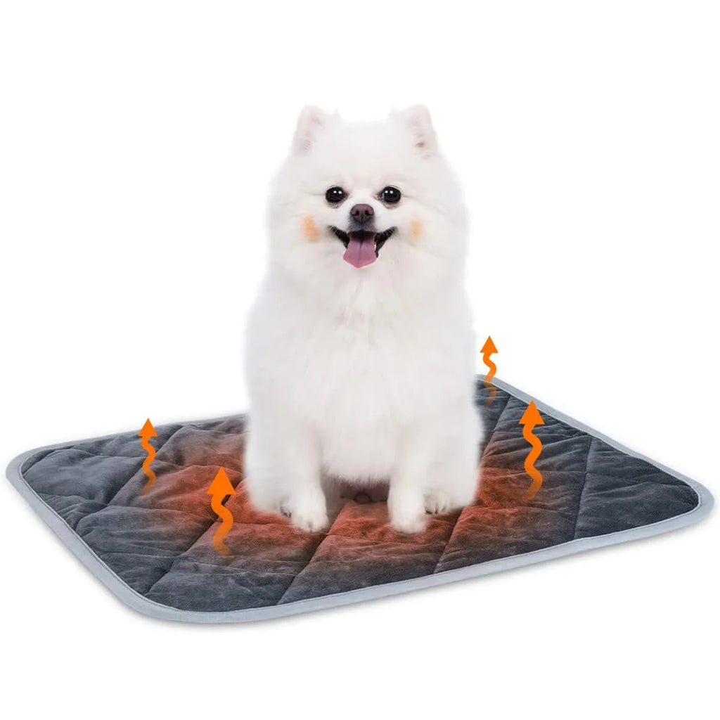 Grey cloth personalised pet cushion shown in four different size options for dogs and cats.