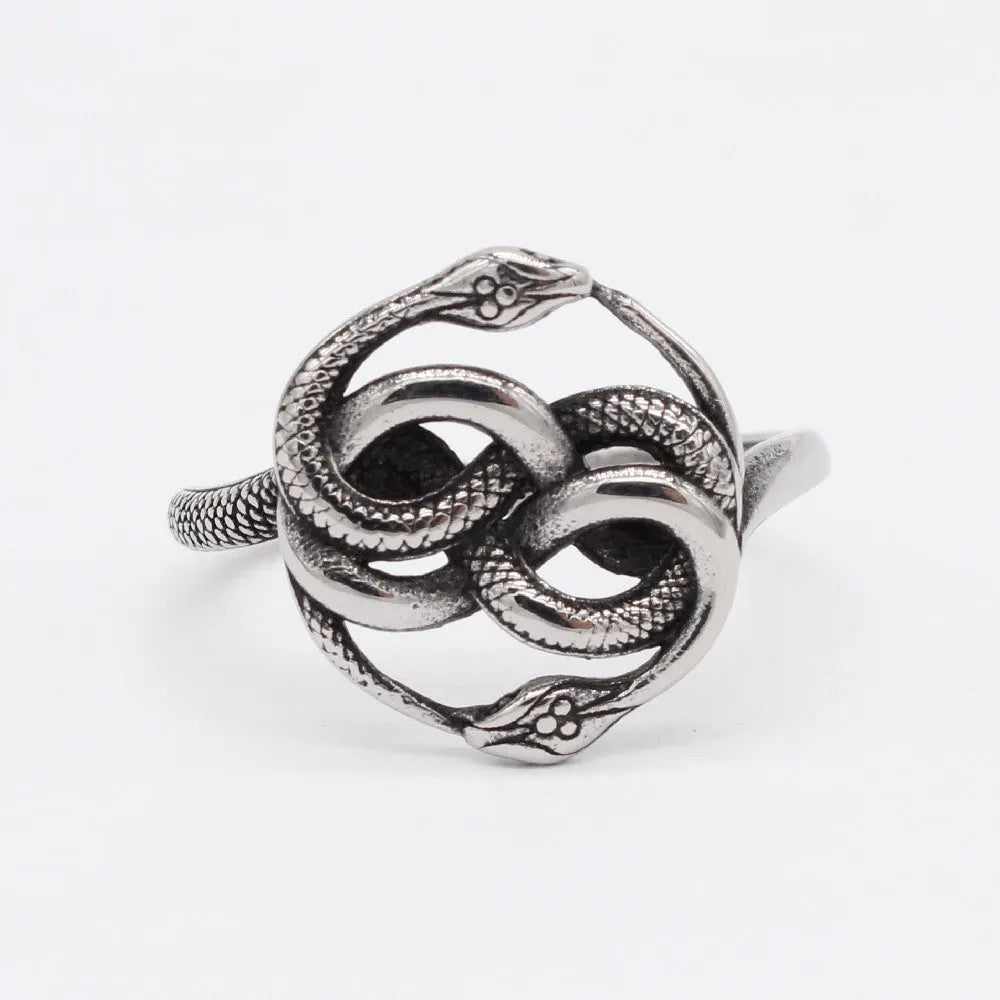 Close-up of a steel-coloured titanium steel ring featuring a detailed double snake design on a dark background.