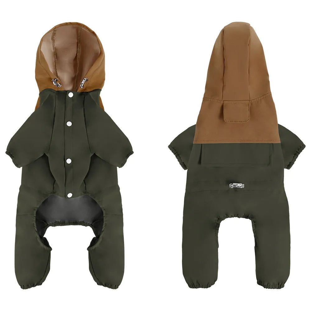 British-style khaki waterproof dog jacket on a medium-sized dog, showing tailored fit and buckle closure.