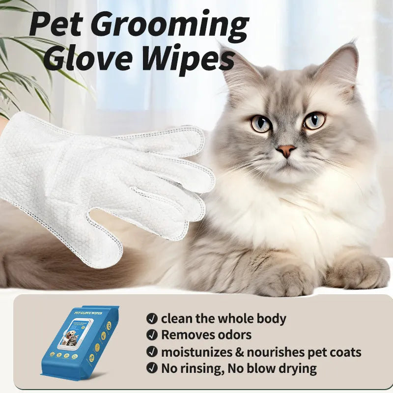Pack of disposable wash-free gloves for pet bathing and cat cleaning supplies
