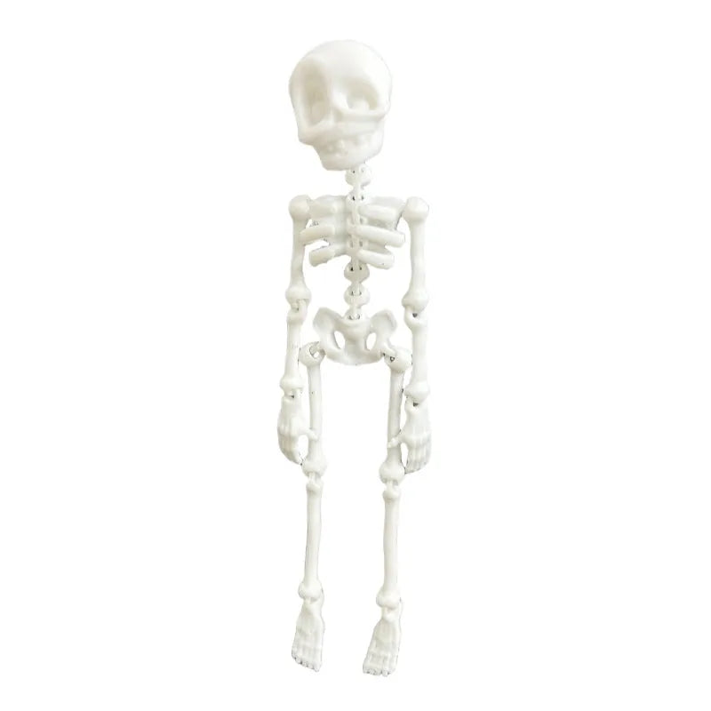 3D printed white skull refrigerator magnet with intricate details on a metallic surface.