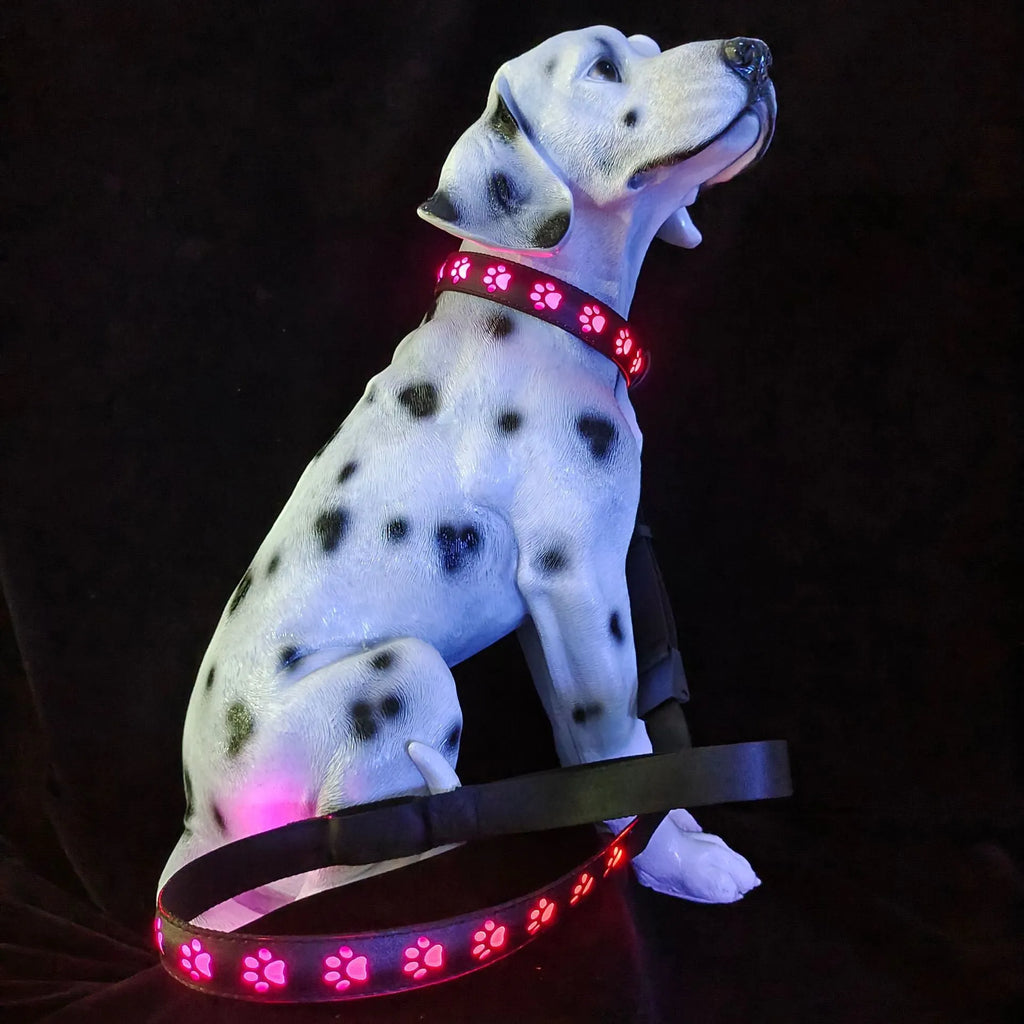 LED luminous cat collar with dog paw print design, showing seven coloured lights on a black polyester strap.