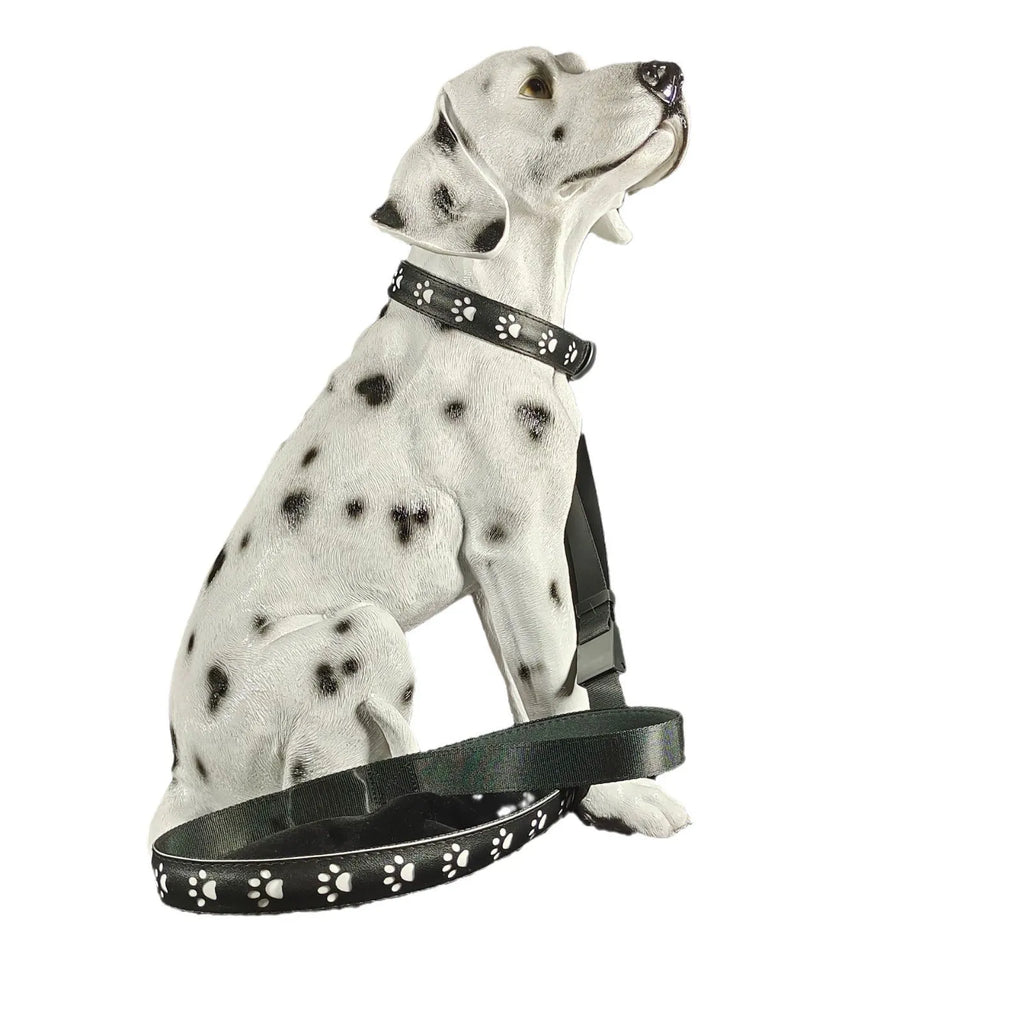 LED luminous cat collar with dog paw print design, showing seven coloured lights on a black polyester strap.