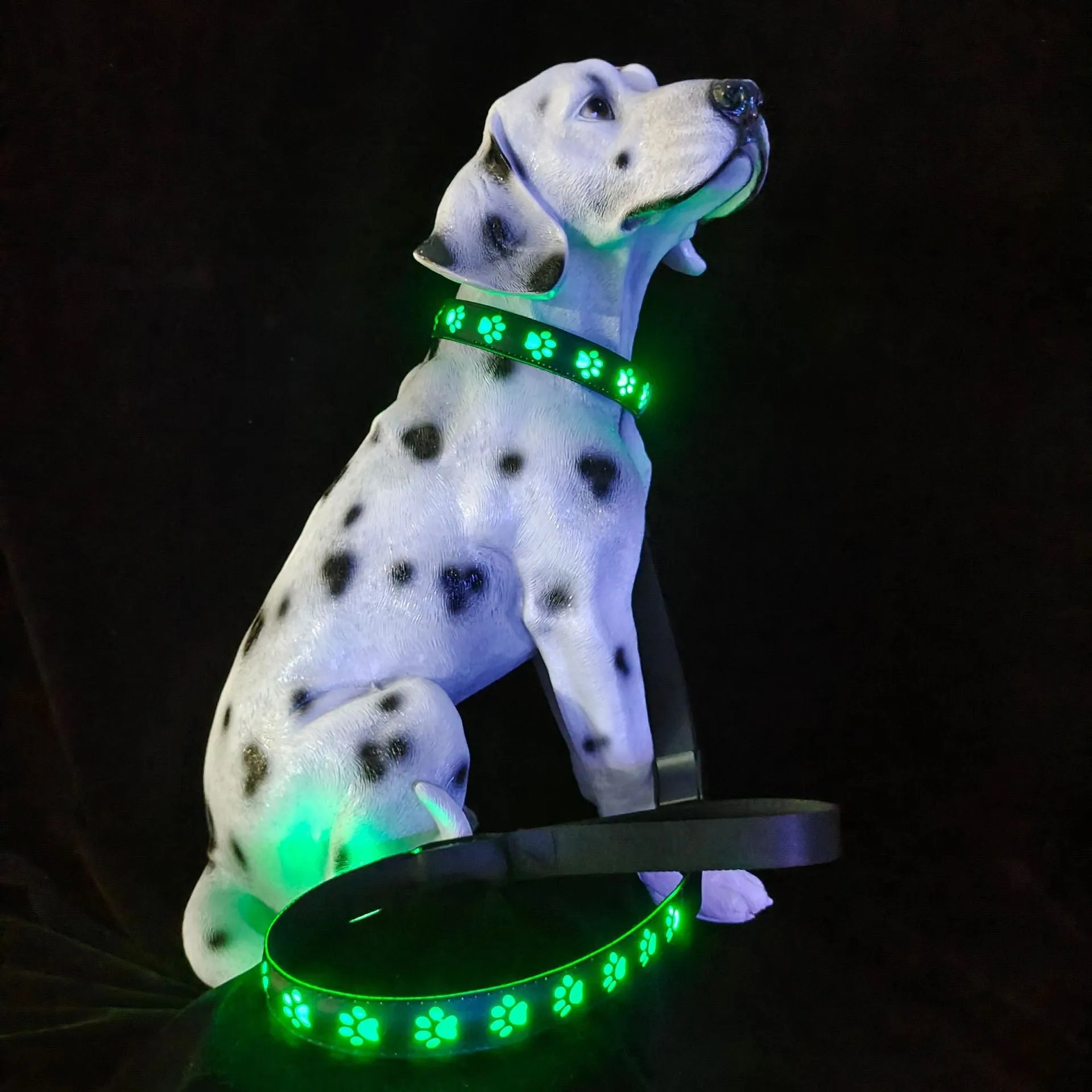 LED luminous cat collar with dog paw print design, showing seven coloured lights on a black polyester strap.