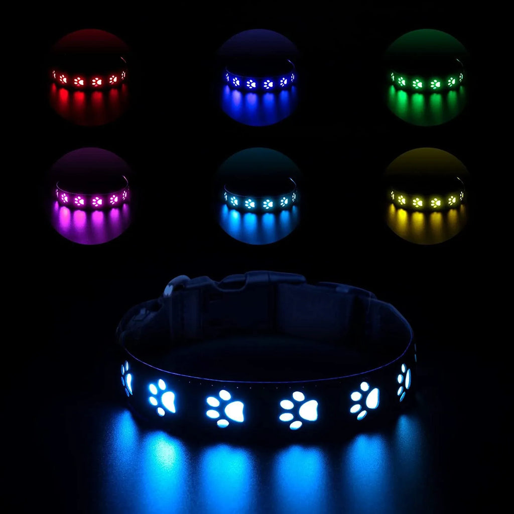LED luminous cat collar with dog paw print design, showing seven coloured lights on a black polyester strap.