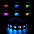 LED luminous cat collar with dog paw print design, showing seven coloured lights on a black polyester strap.
