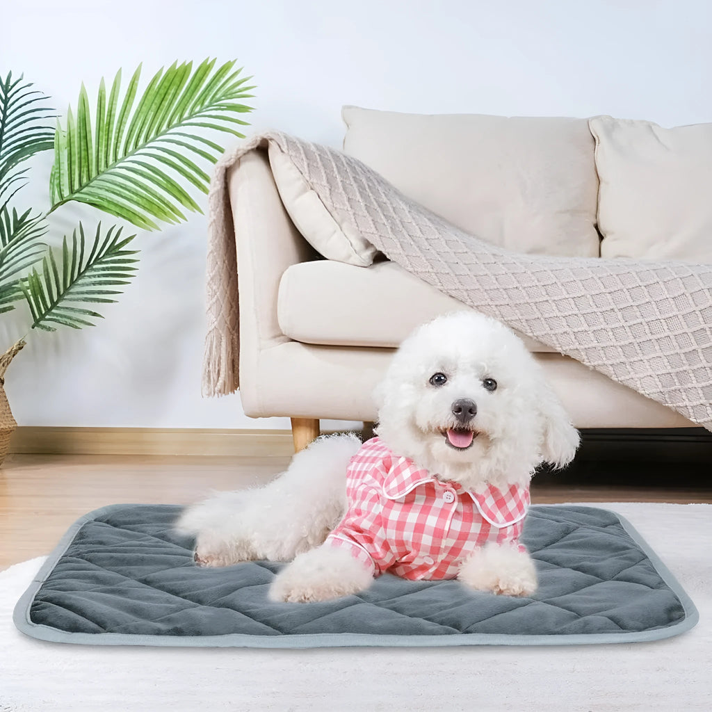 Grey cloth personalised pet cushion shown in four different size options for dogs and cats.