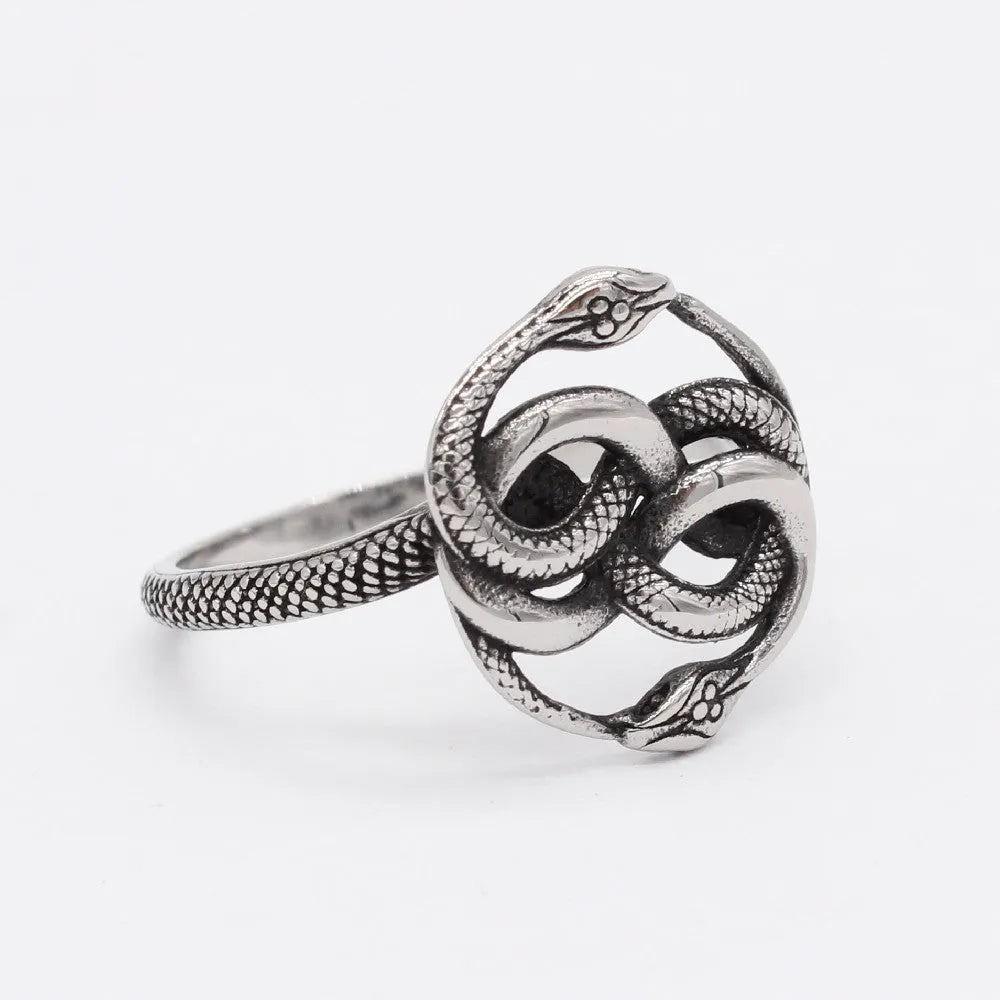 Close-up of a steel-coloured titanium steel ring featuring a detailed double snake design on a dark background.