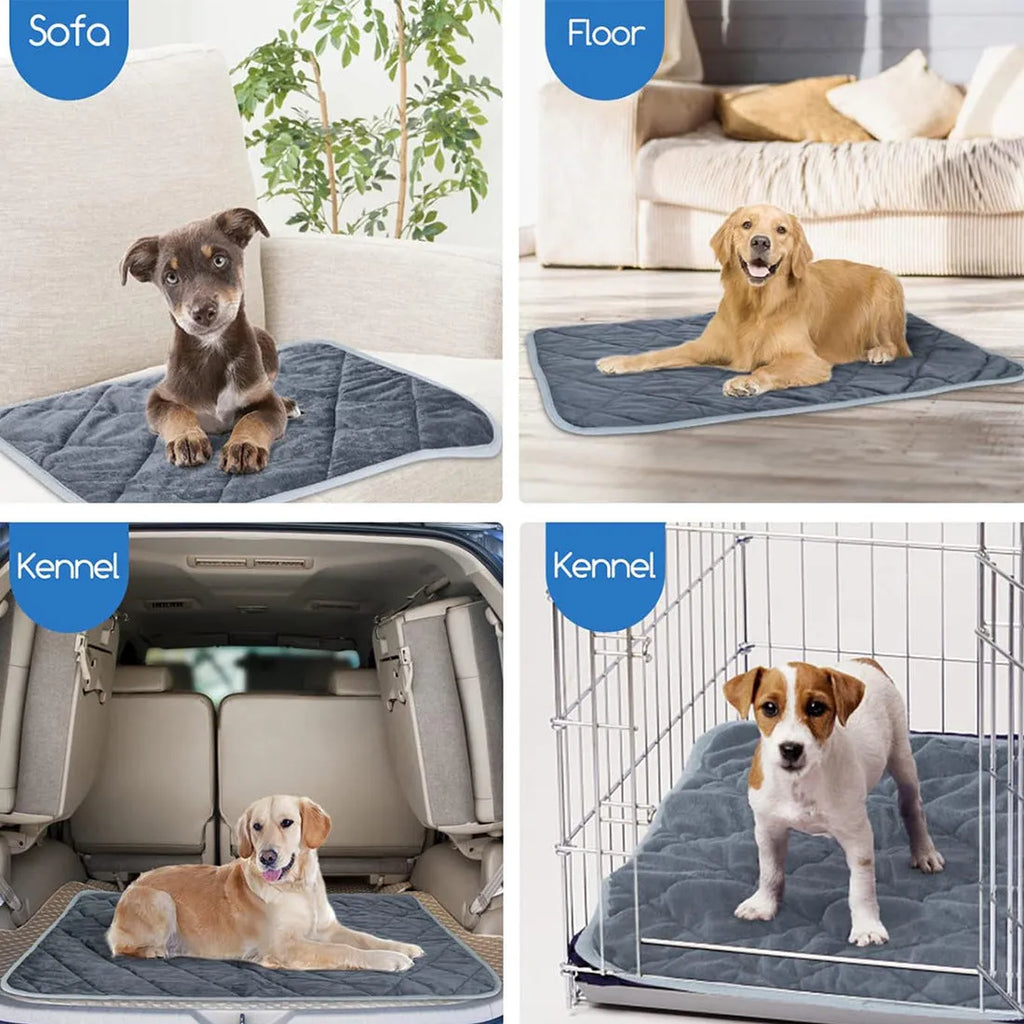 Grey cloth personalised pet cushion shown in four different size options for dogs and cats.