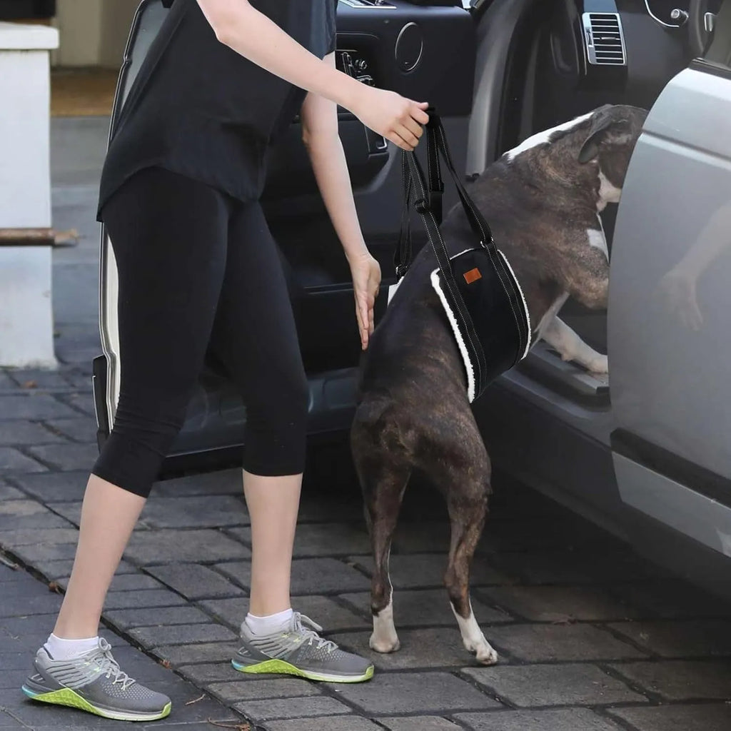 Portable dog sling supporting hind legs and buttocks with adjustable reflective straps and padded handle